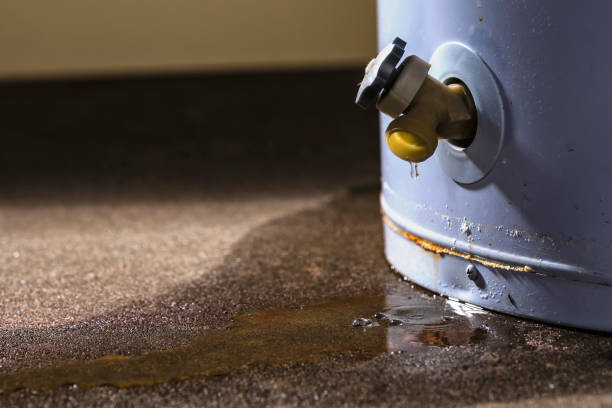 Best Flood damage cleanup  in Adams, WI