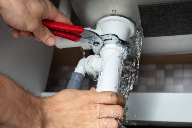 Best Water damage cleanup near me  in Adams, WI