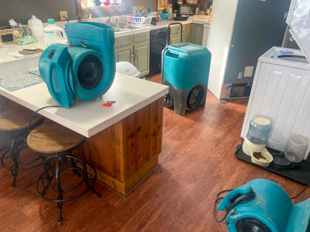 Best Emergency water damage restoration  in Adams, WI
