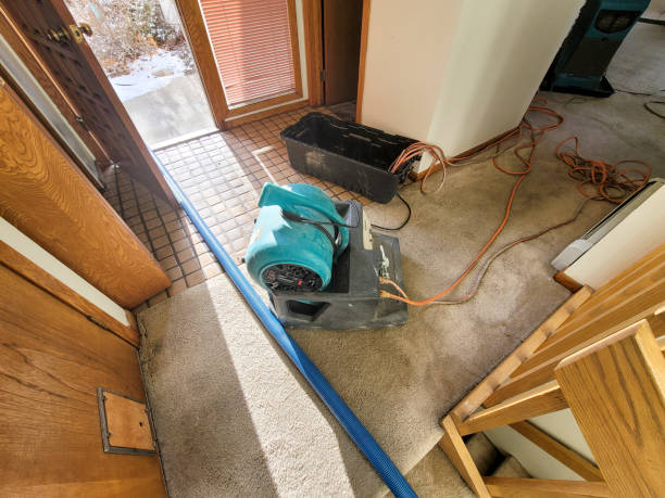 Best Carpet water damage restoration  in Adams, WI