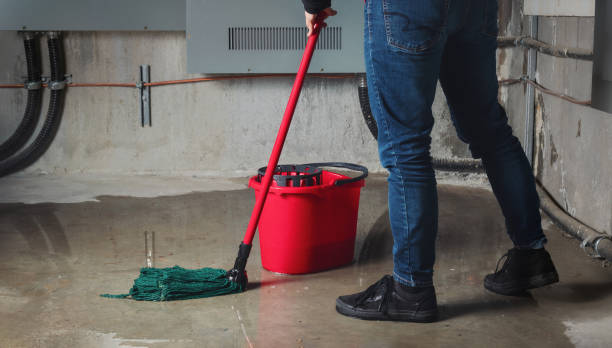 Best Professional water damage repair  in Adams, WI