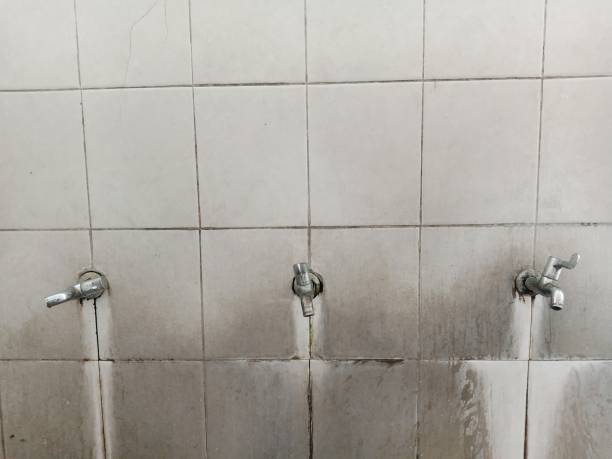 Best Ceiling water damage repair  in Adams, WI